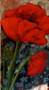 Poppies